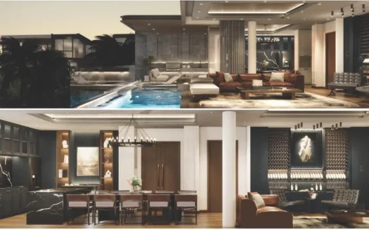 The Petit Tycoon – Дуплекс Duplex02